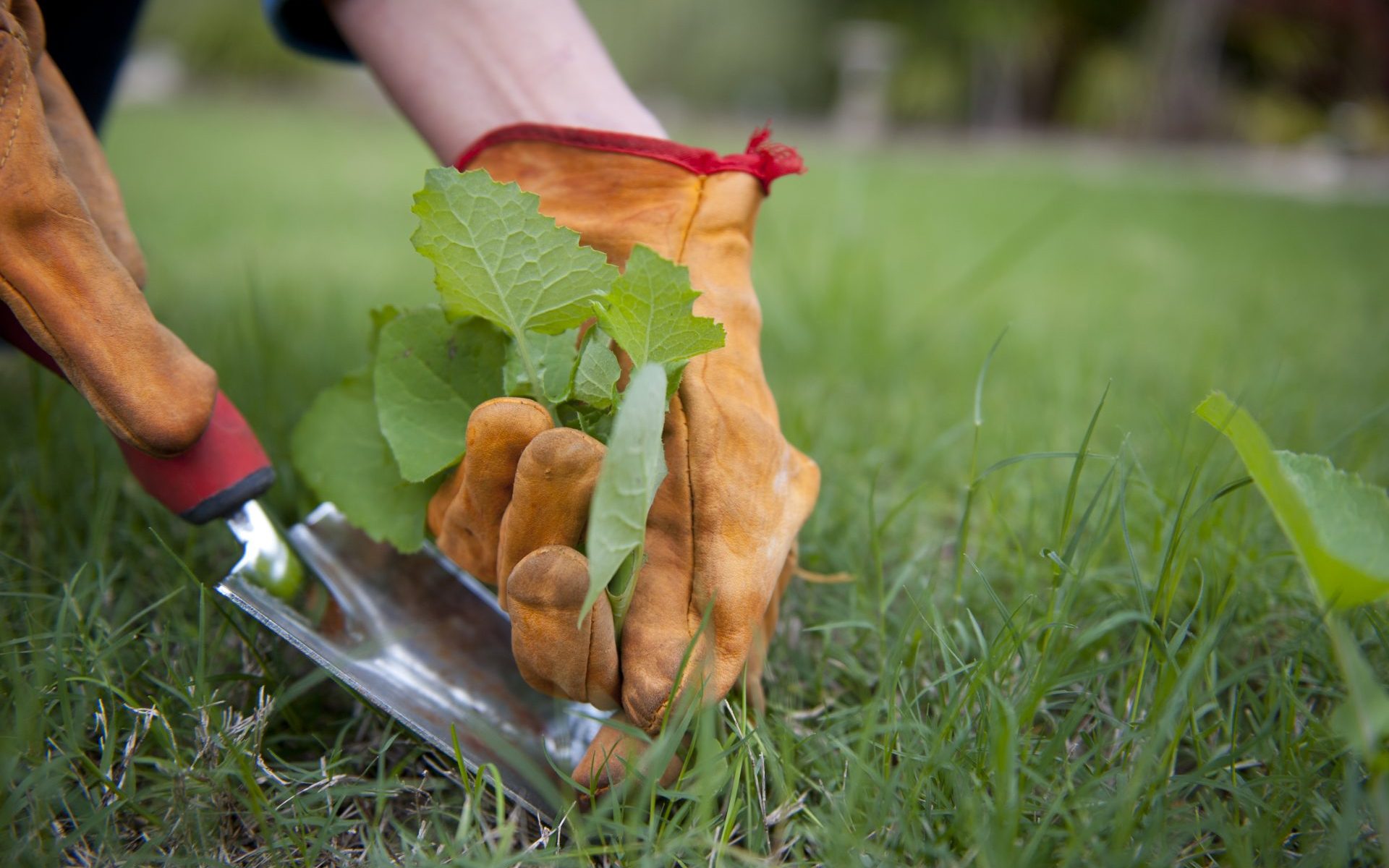 Outillage indispensable pour les travaux de jardinage !