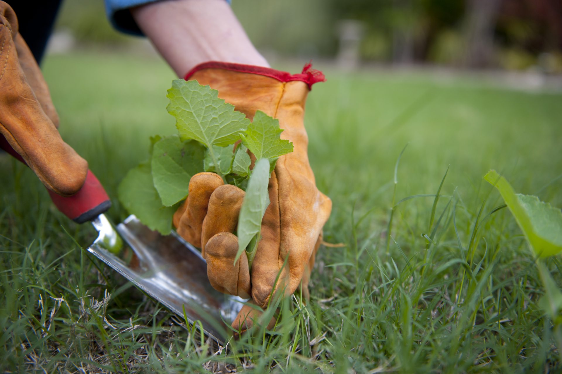 outils entretien jardin