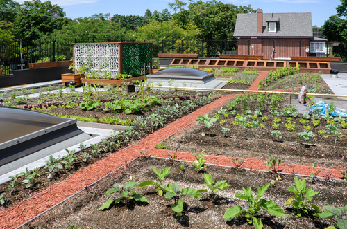 serre jardin