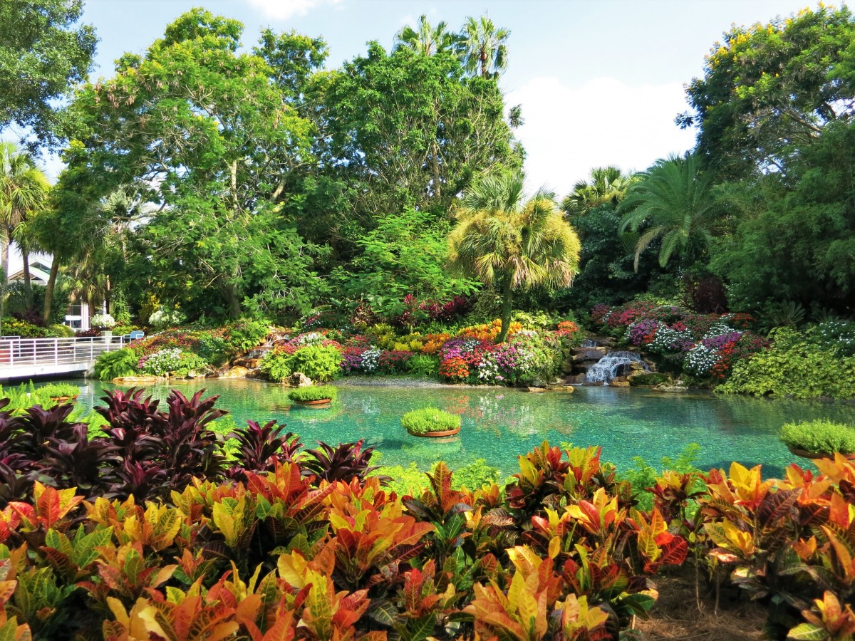 jardin plantes