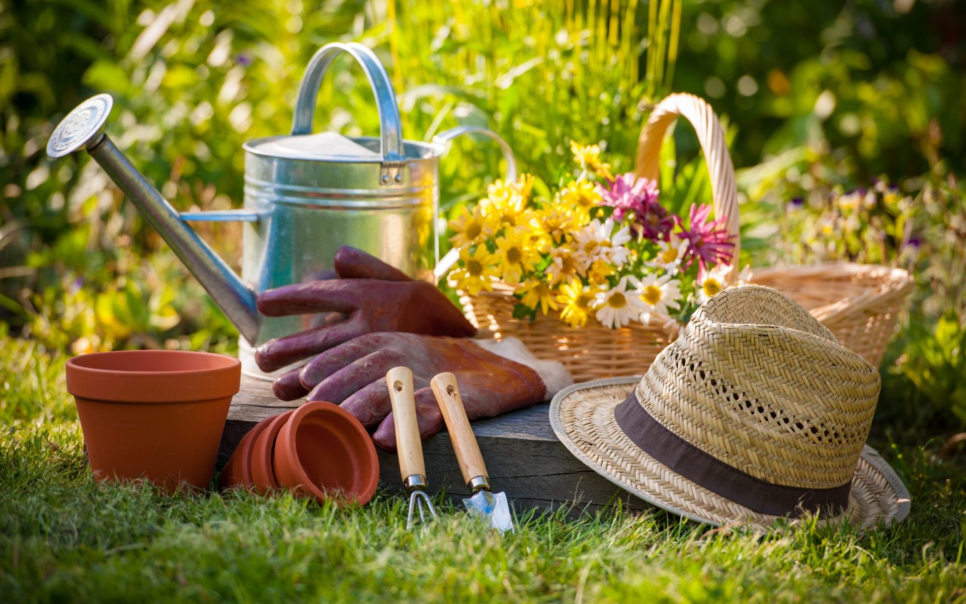 désherber son jardin