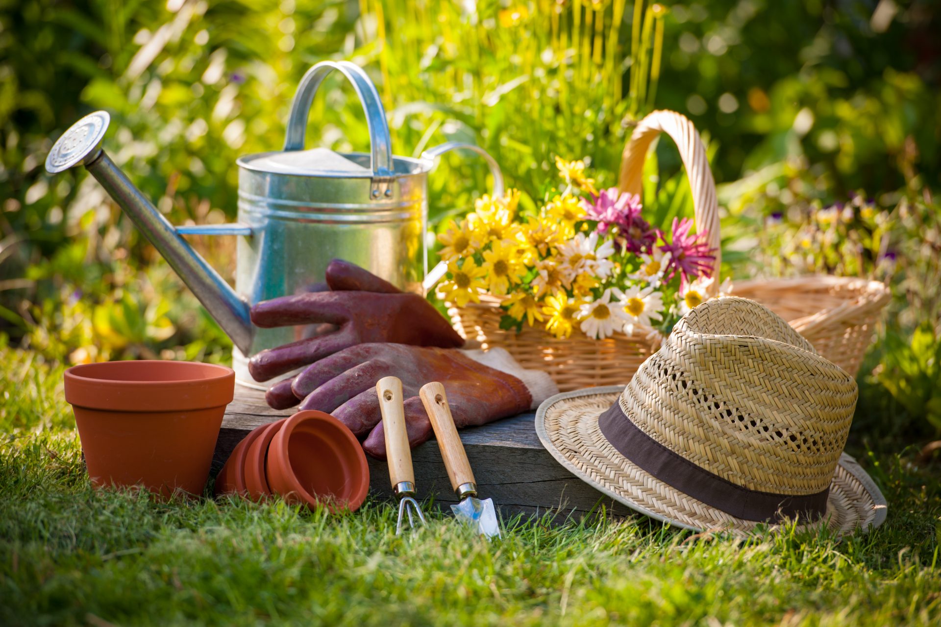 désherber son jardin